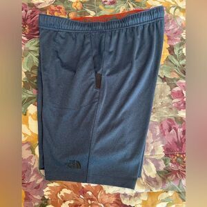 The North Face Shorts